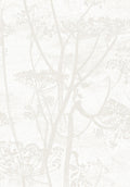 Cow Parsley Chalk and Parchment