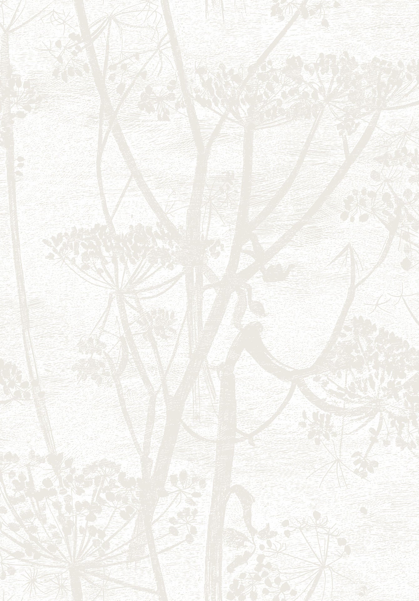 Cow Parsley Chalk and Parchment