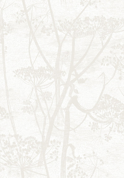 Cow Parsley Chalk and Parchment
