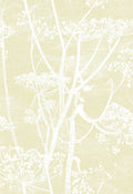 Cow Parsley White & Soft Yellow