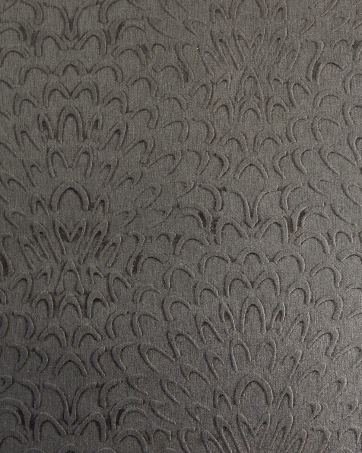 DAL003 (Dalia)