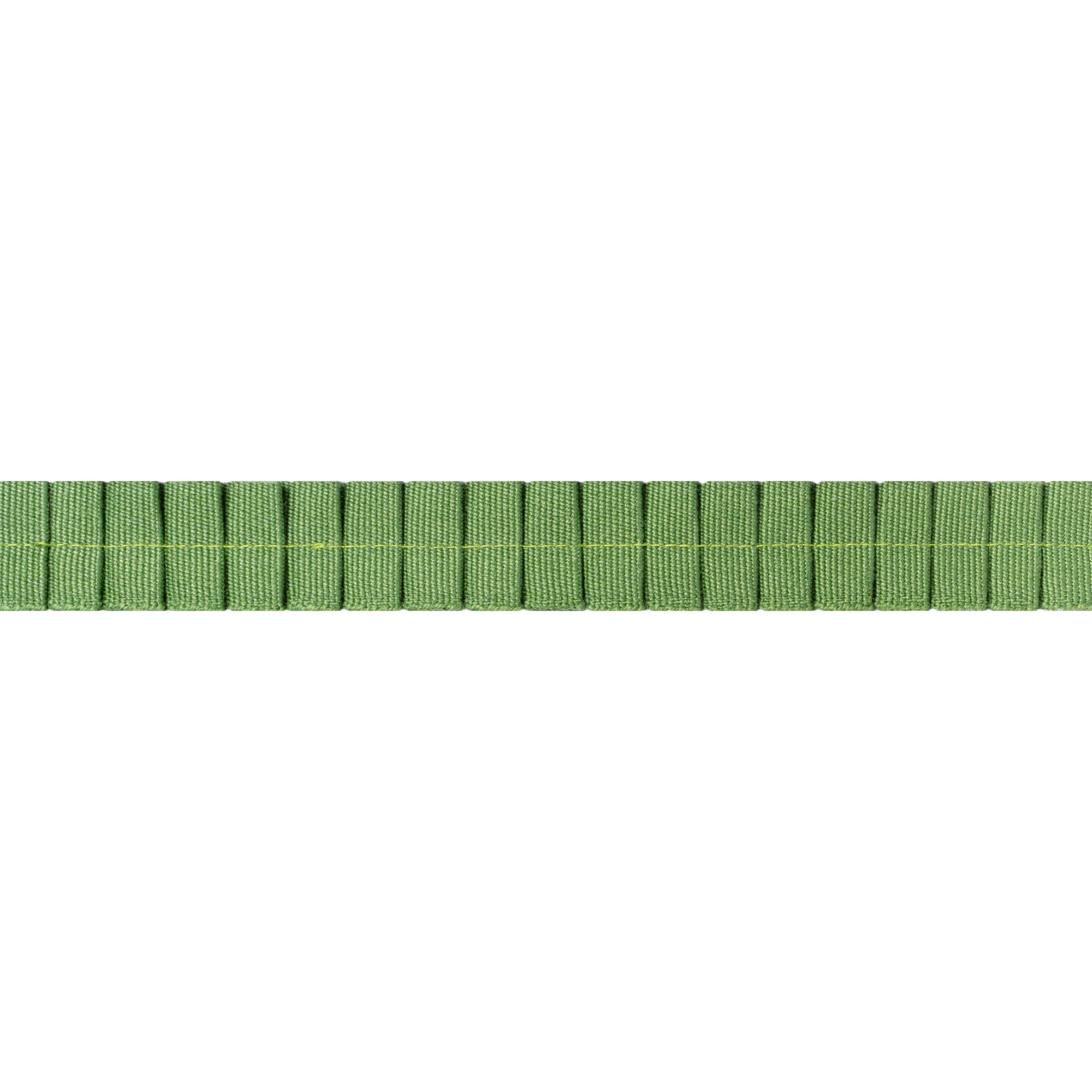 PLEATED TAPE - Kelly
