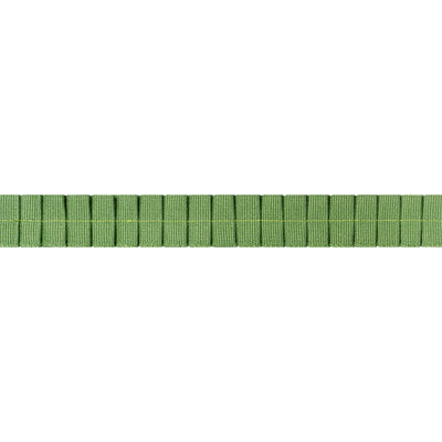 PLEATED TAPE - Kelly