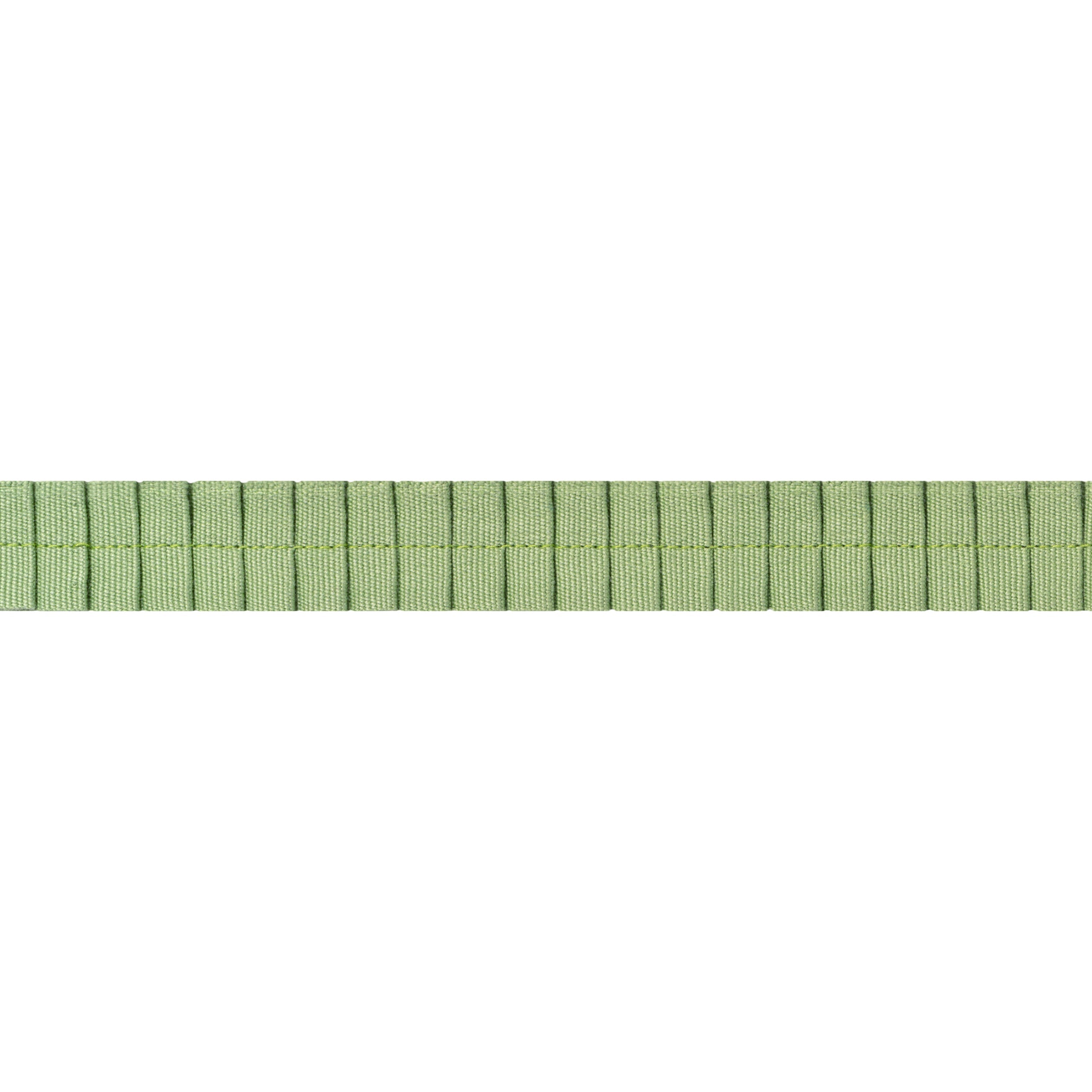 PLEATED TAPE - Spring