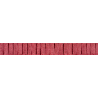 PLEATED TAPE - Cranberry
