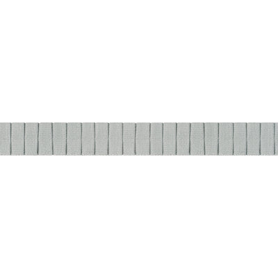 PLEATED TAPE - Platinum