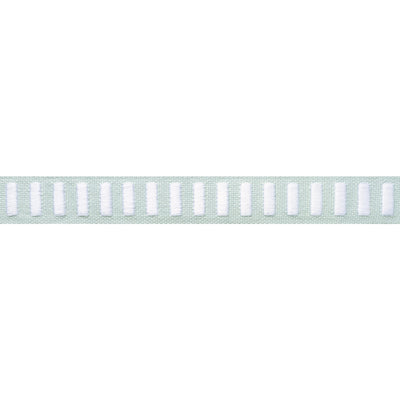 DASH TAPE - White on Mist