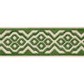 BELINDA TAPE - Fern