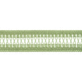 CECILY TAPE - Apple