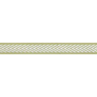 WESTPORT TAPE - Spring Green
