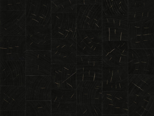 Eclipse - ECP511