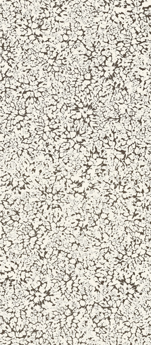 Eclipse - ECP202