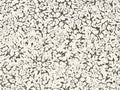 Eclipse - ECP301