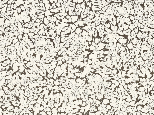 Eclipse - ECP301