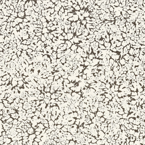 Eclipse - ECP301