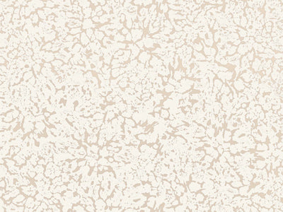 Eclipse - ECP302