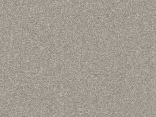 Eclipse - ECP503