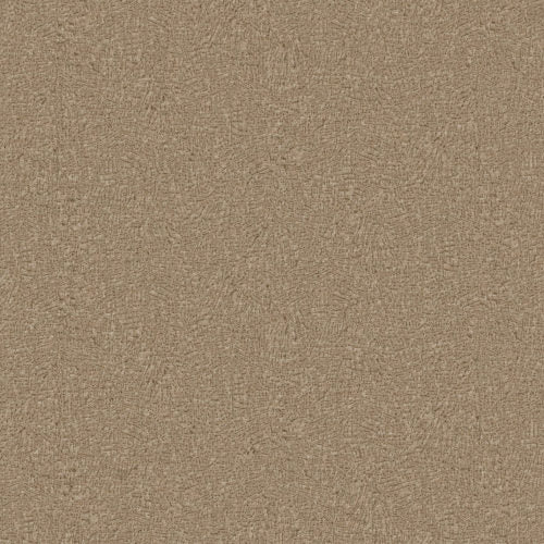 Eclipse - ECP504