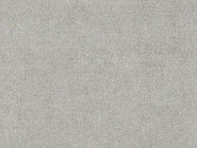 Edition - ED2506