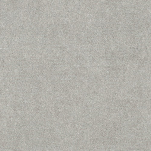Edition - ED2506