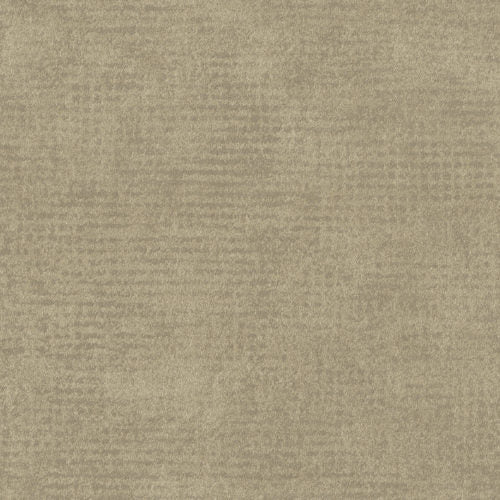 Edition - ED2525