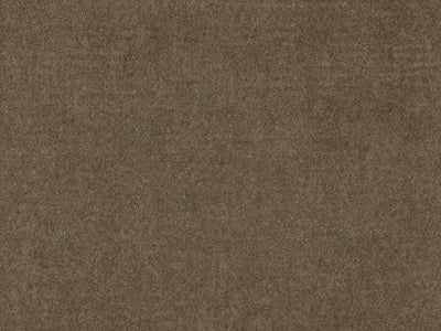 Edition - ED2526