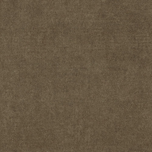 Edition - ED2526