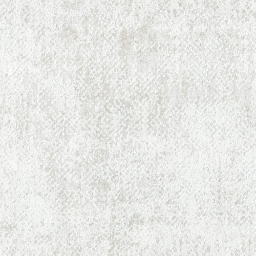 Edition - ED3017