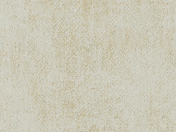 Edition - ED3023