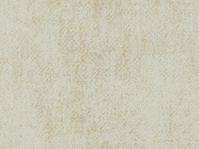 Edition - ED3023