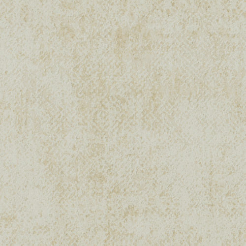 Edition - ED3014