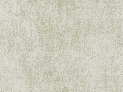 Edition - ED3025