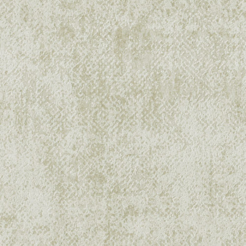 Edition - ED3025