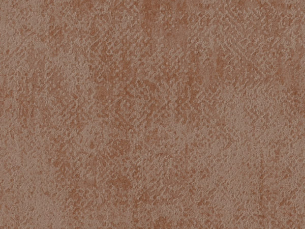 Edition - ED3026
