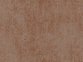 Edition - ED3026