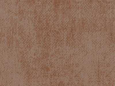 Edition - ED3026