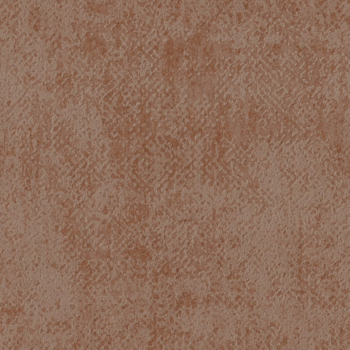 Edition - ED3026