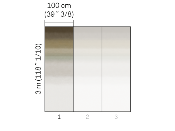 Edition - ED4006