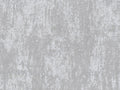 Edition - ED6013