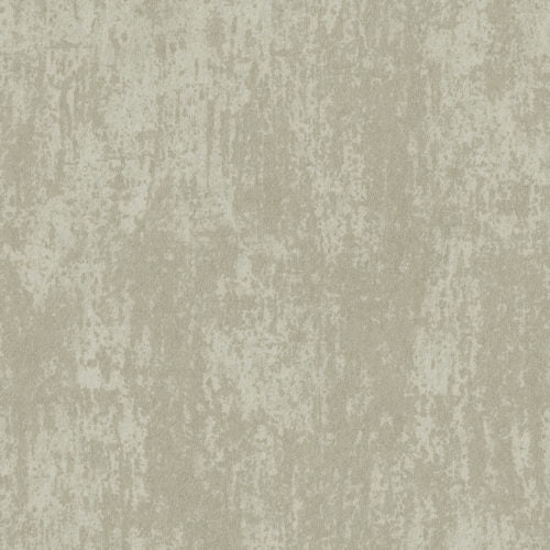 Edition - ED6014