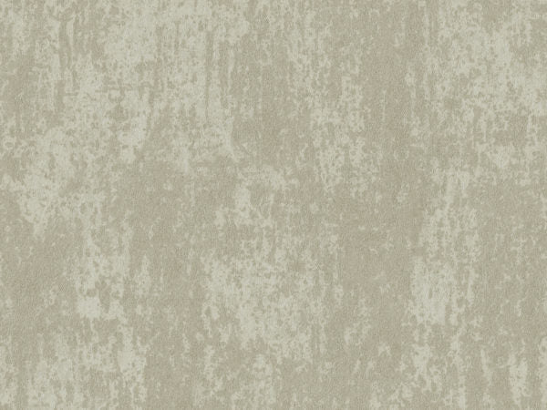 Edition - ED6014