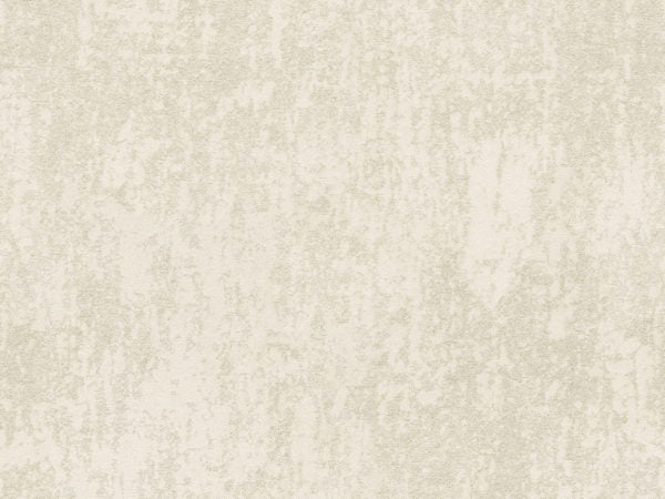 Edition - ED6015