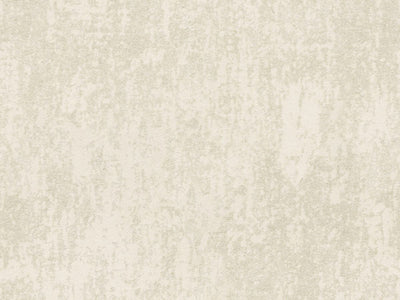 Edition - ED6015