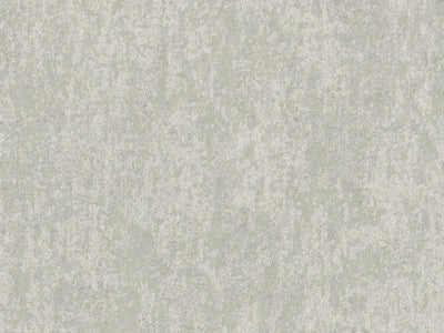 Edition - ED6024