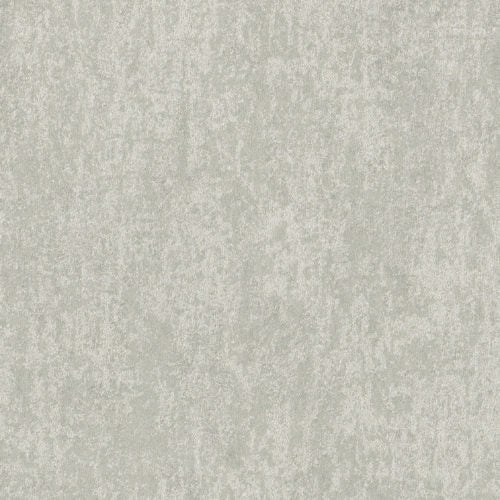 Edition - ED6024