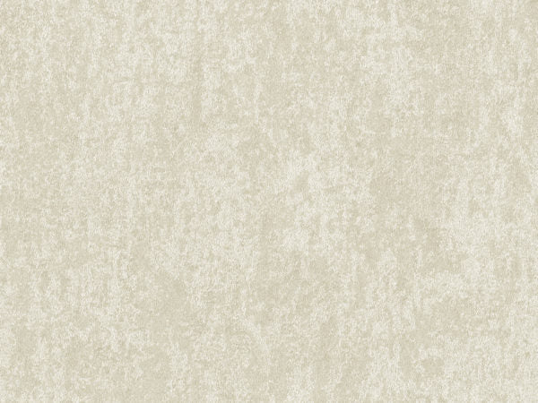 Edition - ED6053