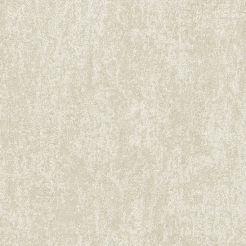 Edition - ED6053