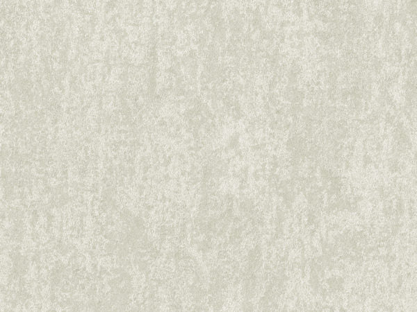 Edition - ED6054