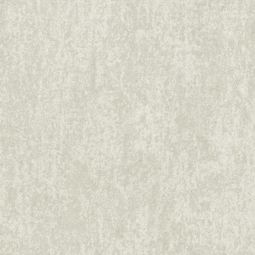 Edition - ED6054