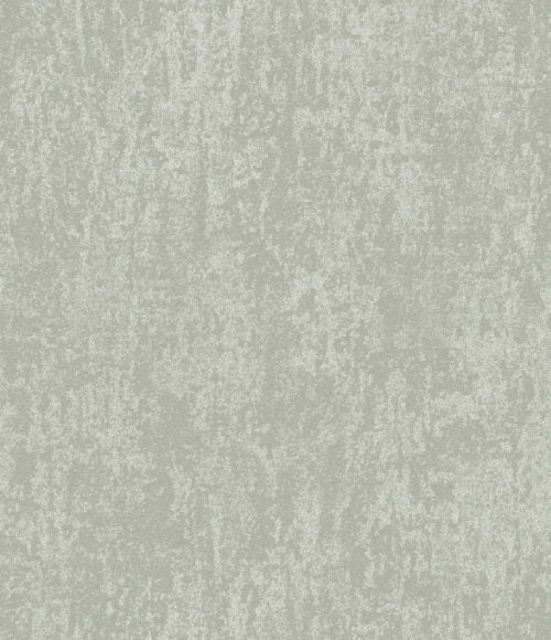Edition - ED4005